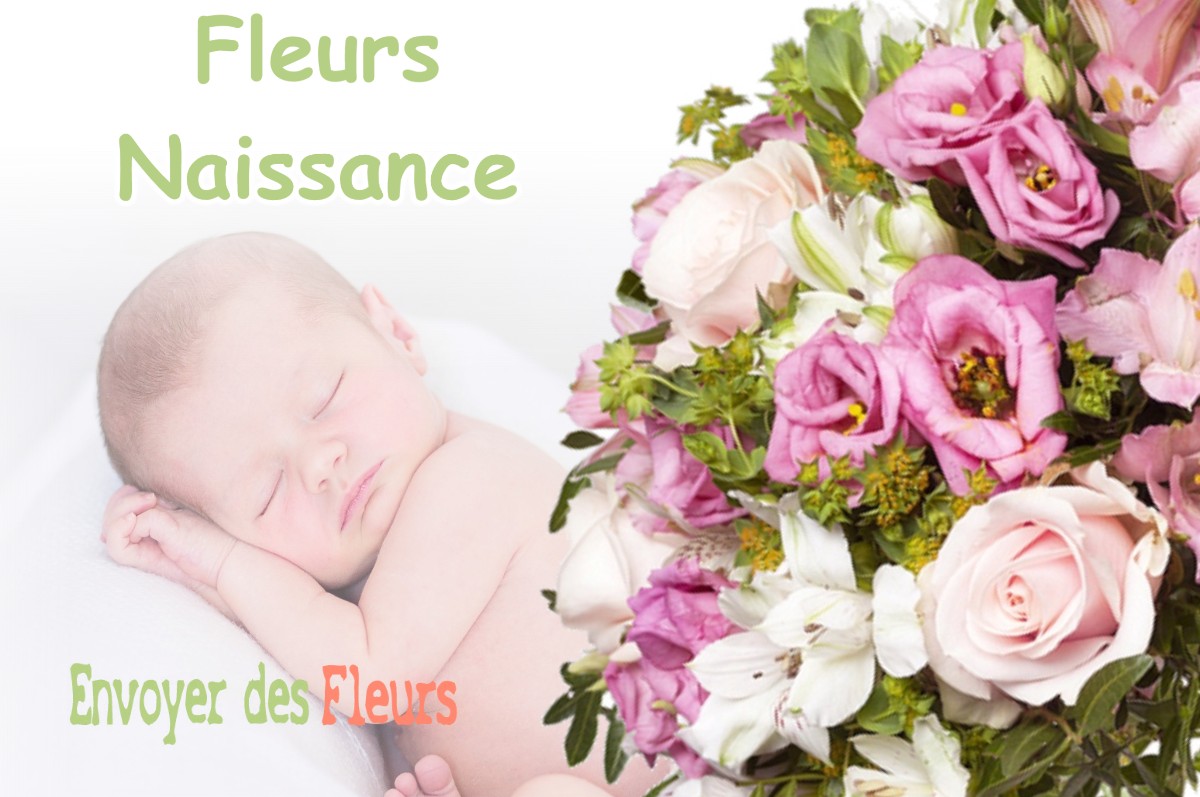 lIVRAISON FLEURS NAISSANCE à DUN-SUR-MEUSE